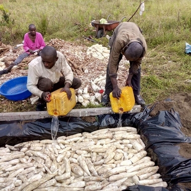 Cuisson à l'eau froide des tubercules de manioc