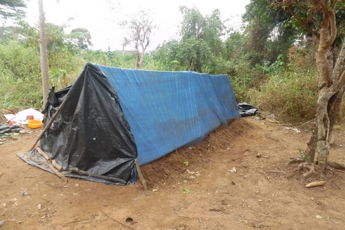 Campement de la coopérative Congo-Futur à Imboulou