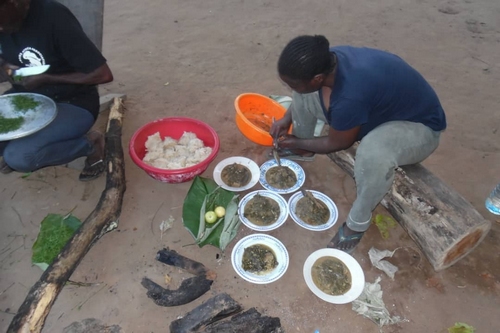 Partage du repas entre les membres de la coopérative Congo-Futur présents à Imboulou