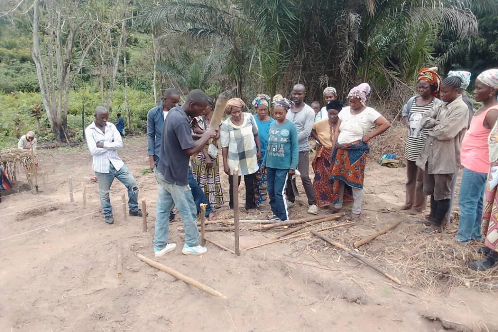 Sur le site de Linzolo, les membres de la coopérative Congo-Futur ont mis en pratique leur formation théorique sur le maraîchage.
