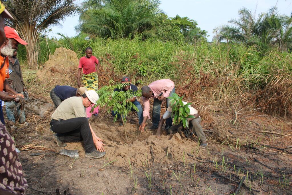 Les membres de la coopérative Congo-Futur et les adhérents de l'association Congo-Futur plantent des arbres sur le site de Linzolo ce 26 février 2024.